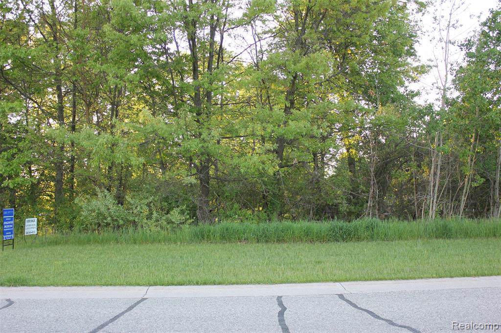 100 Persimmon Dr - Photo 1
