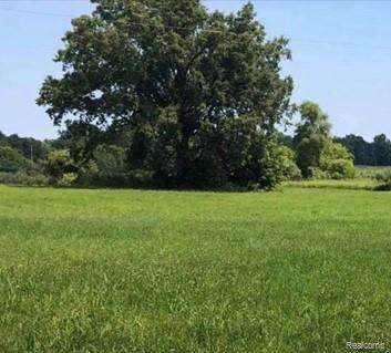 0 Farrand Rd - Photo 1