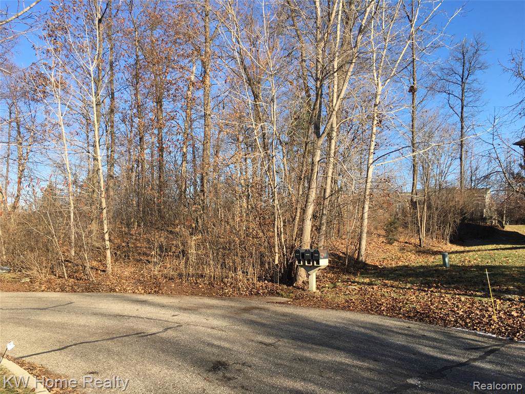39308 Lilly Crt - Photo 1