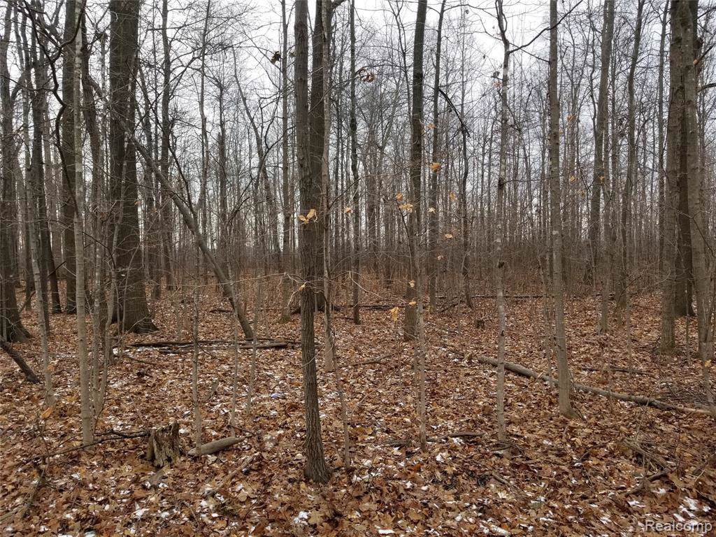 0 Hunt Road - Photo 1