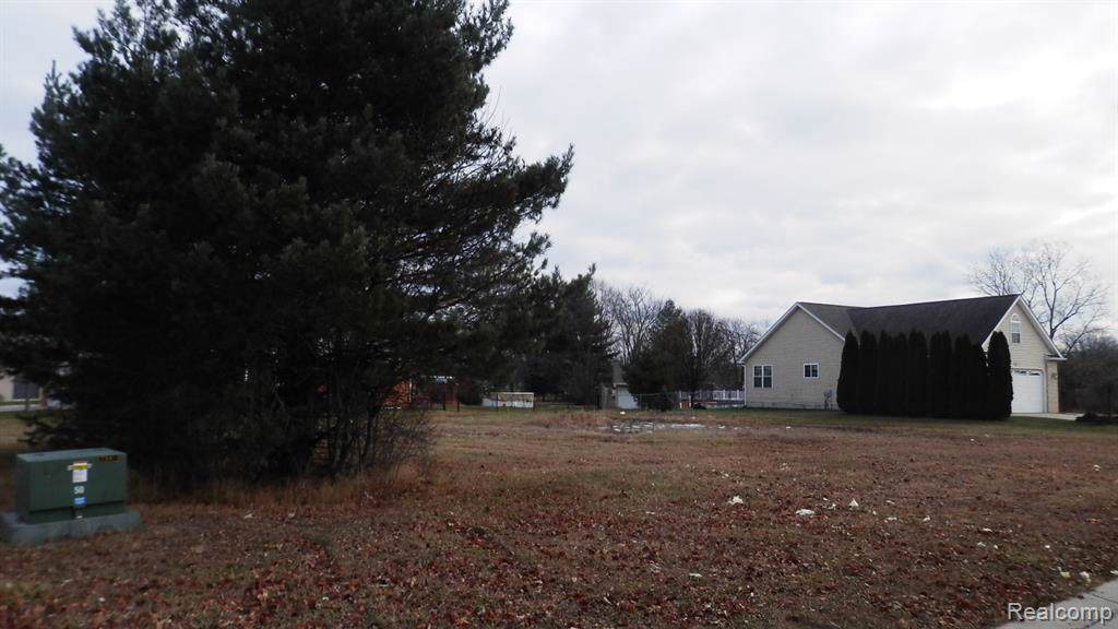 127 Liberty Avenue - Photo 1