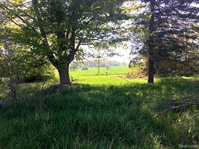65855 Mound Road - Photo 1