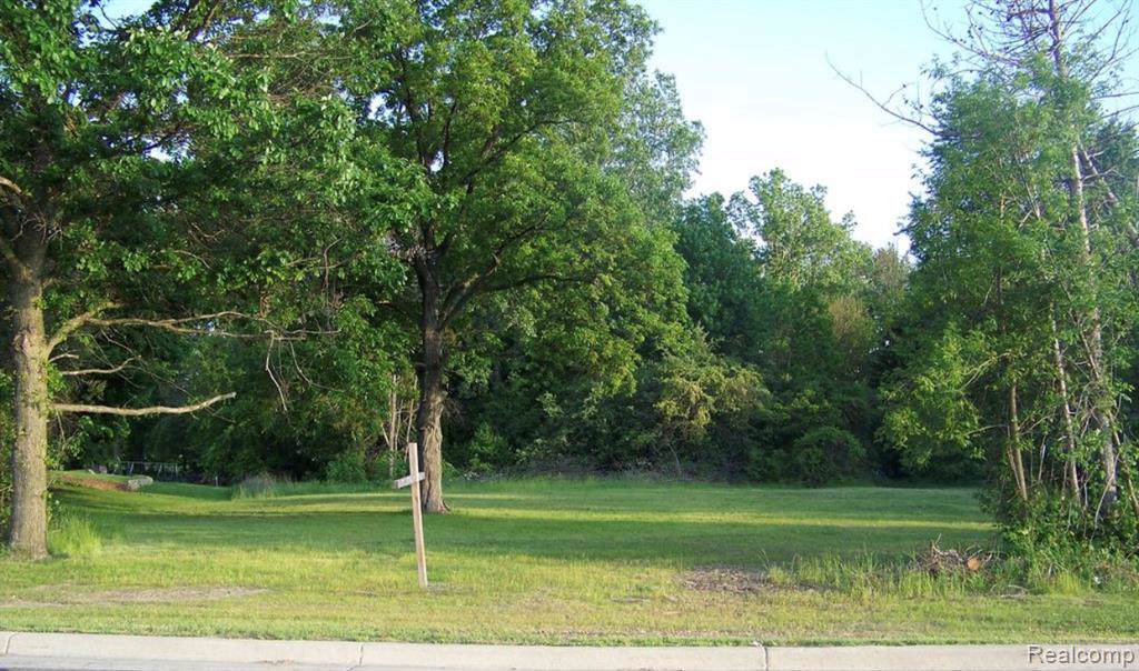 13000 Plumbrook Rd - Photo 1