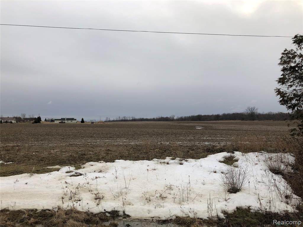 0 Imlay City Rd - Photo 1