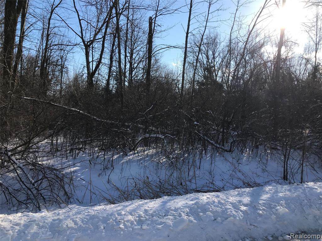 0 Cranbrook - Photo 1