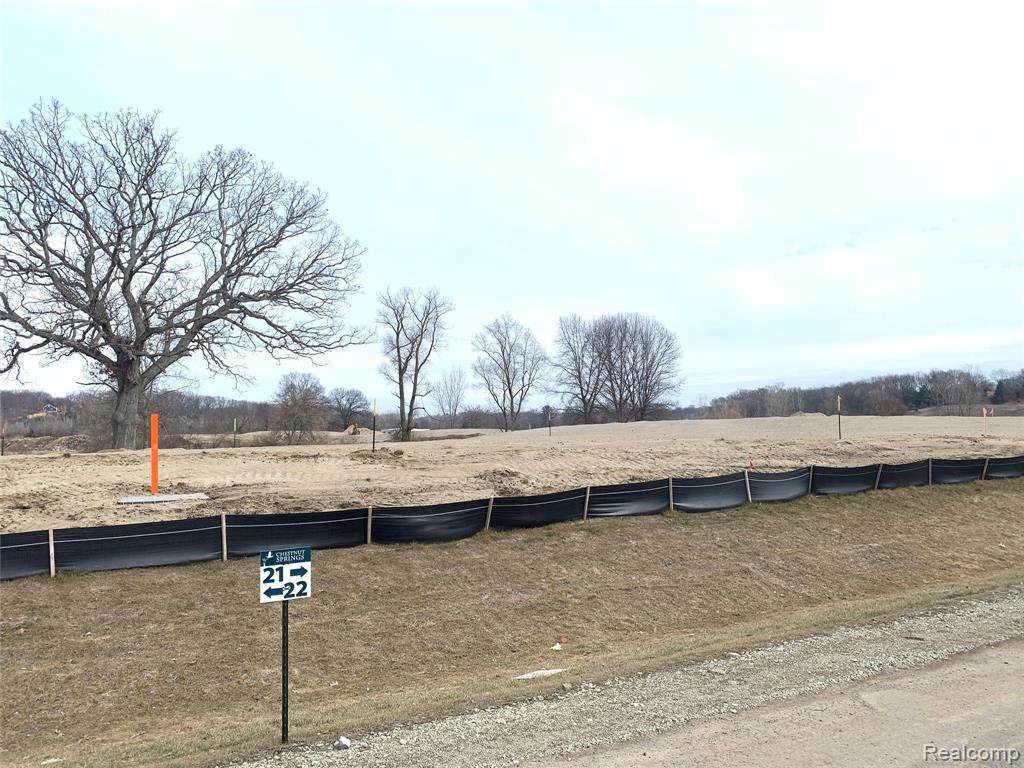 0 Chestnut Springs Dr Lot# 21 - Photo 1