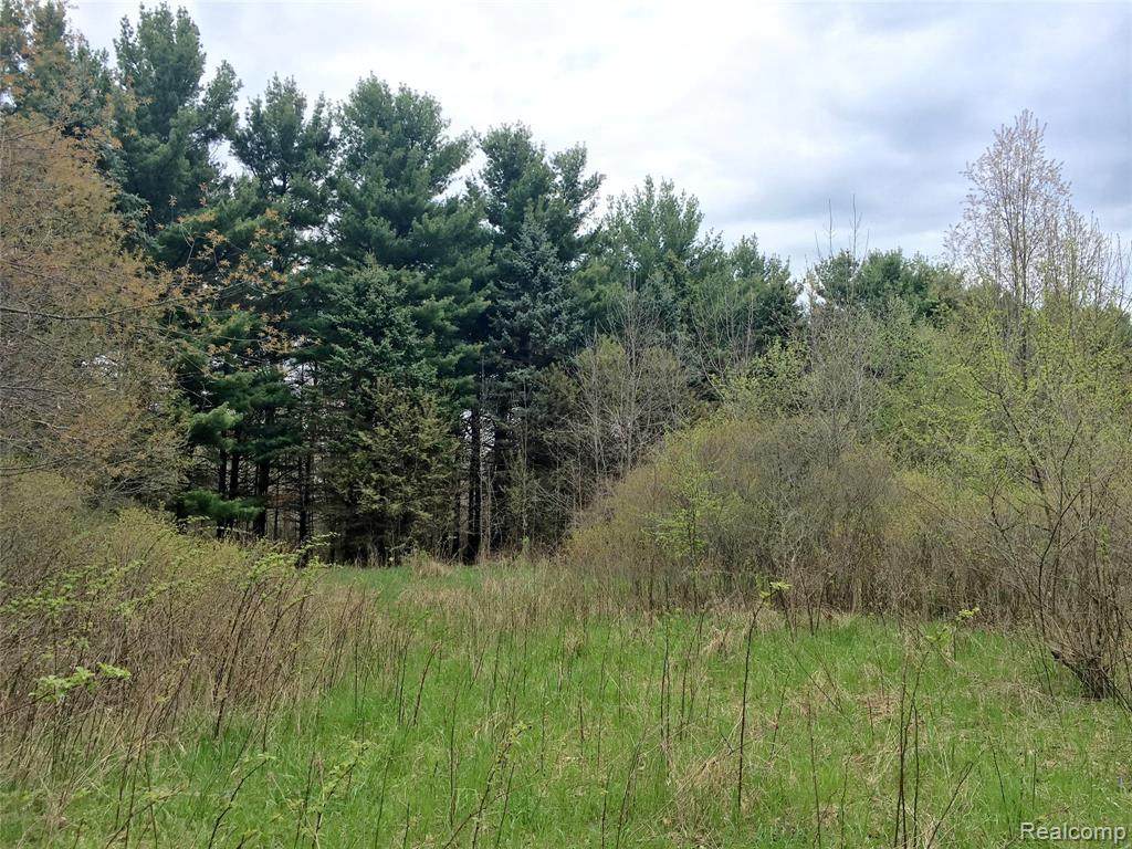5600 Preston Rd - Photo 1
