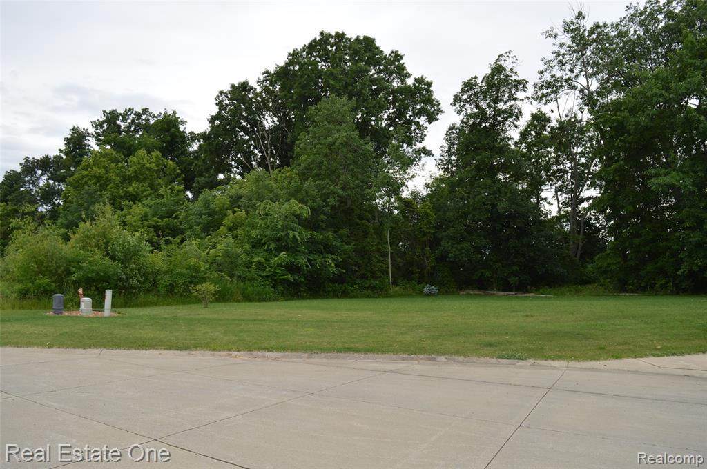 13368 Patrick Dr - Photo 1