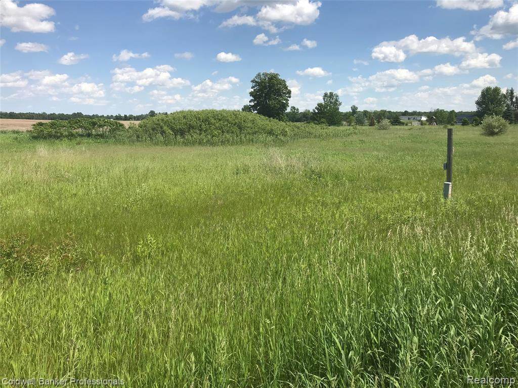 0 Lapeer Rd - Photo 1
