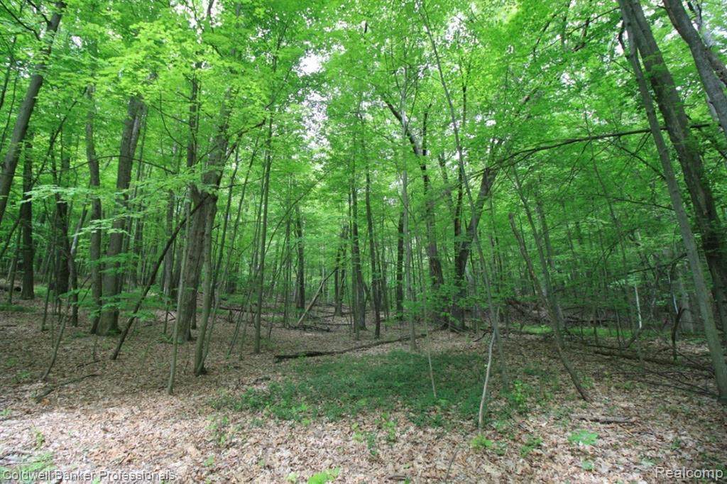 0 Rochester Rd - Photo 1