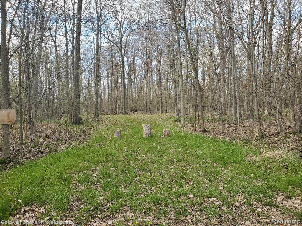 9999 Mott Rd - Photo 1