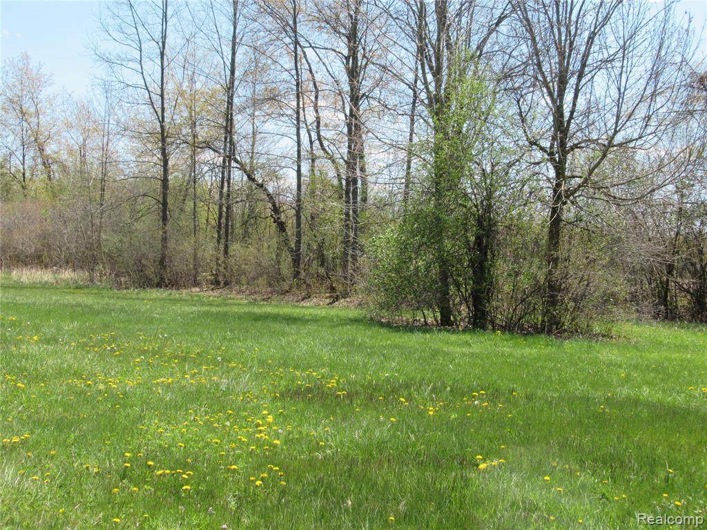 0 Fox Run Dr - Photo 1
