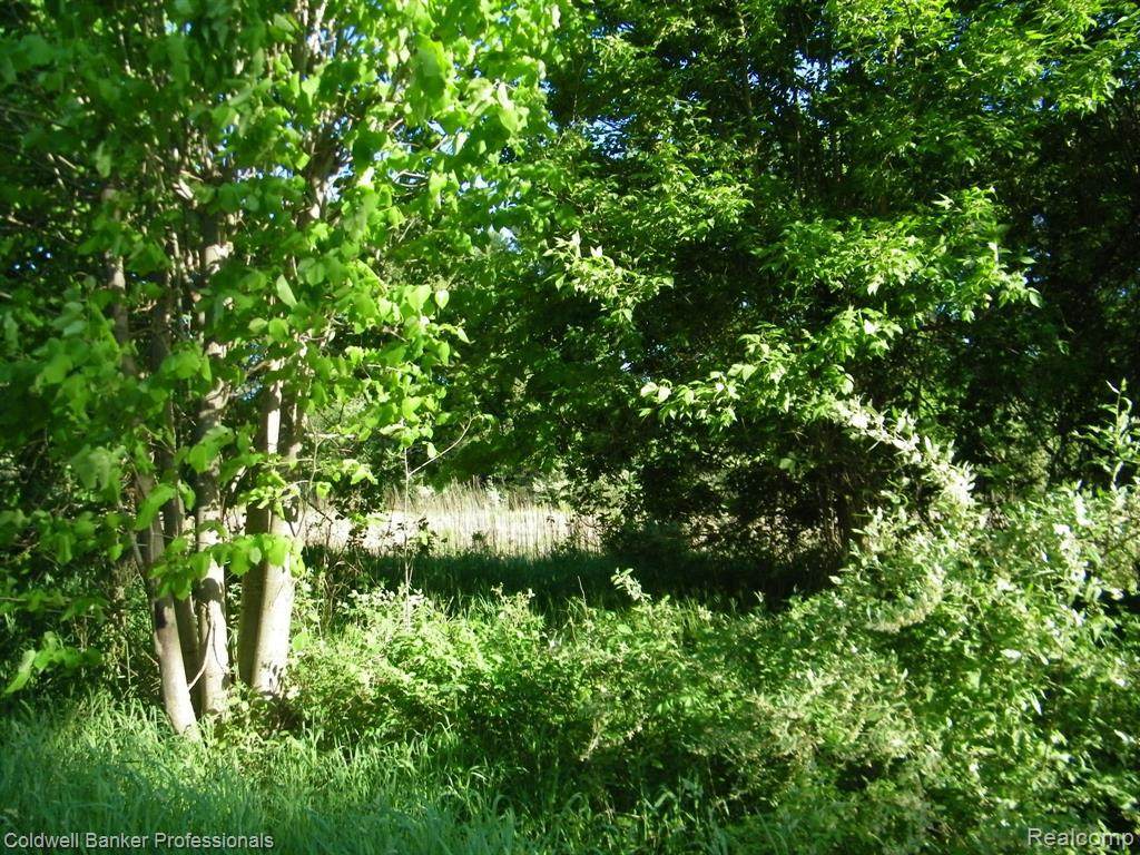 0 Martus Rd - Photo 1