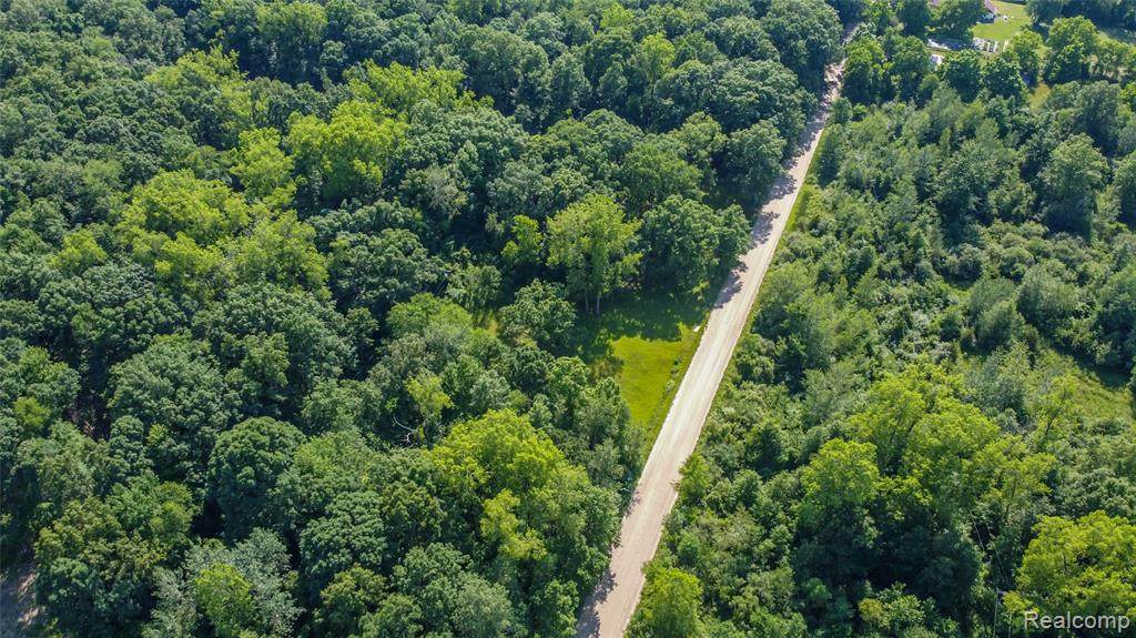 44805 Dunn Rd - Photo 1