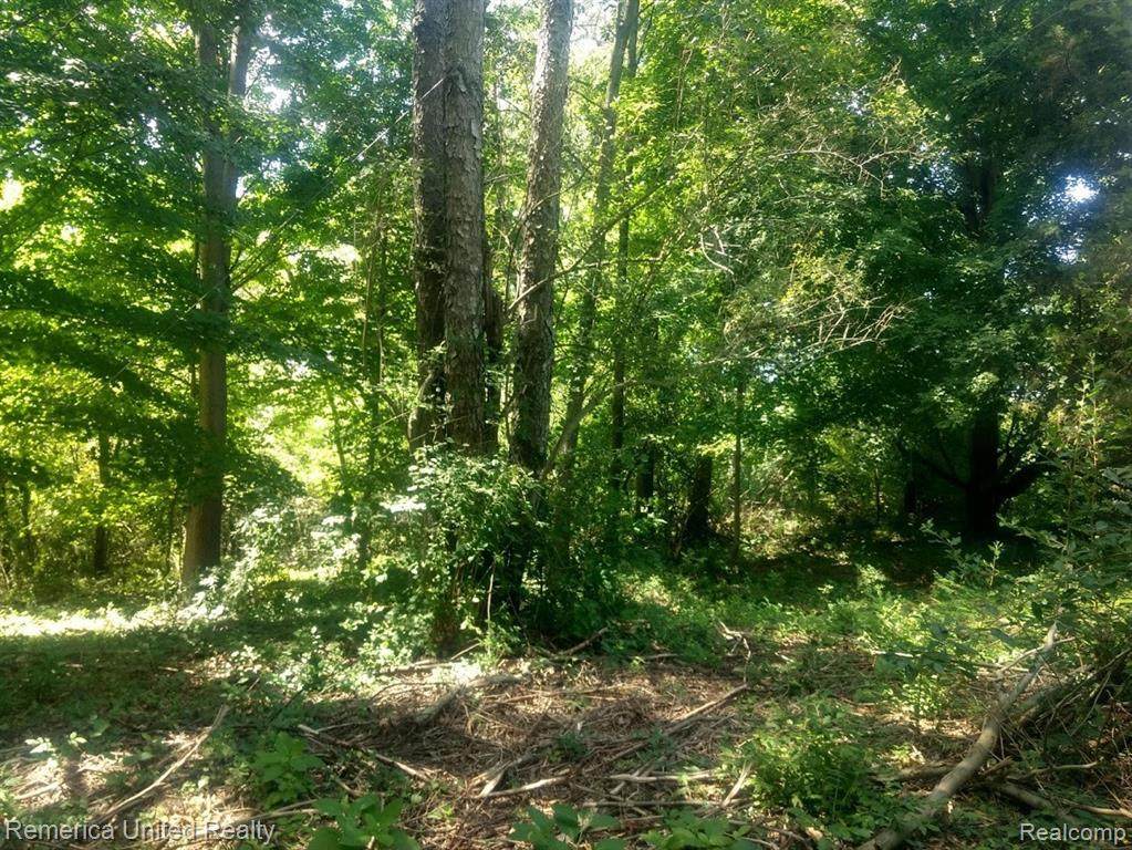 0 Bishop Rd - Photo 1
