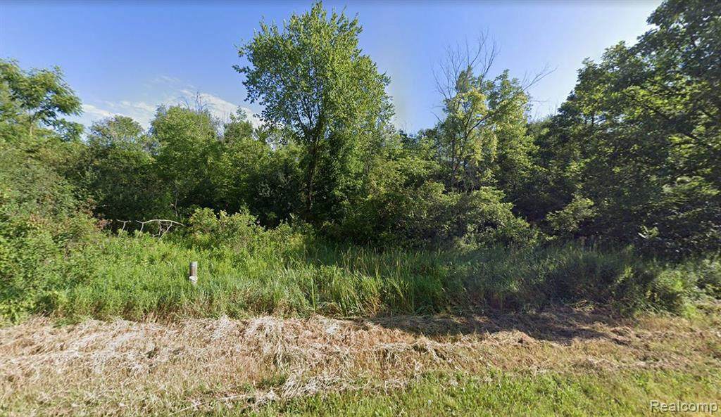0 Seven Mile Rd - Photo 1