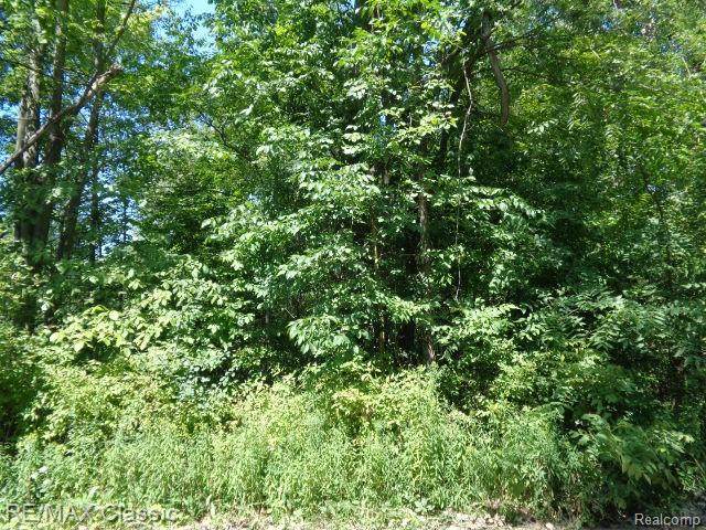 0 Lotzford - Photo 1