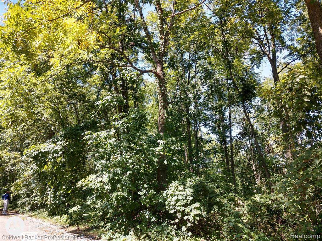0 Us Highway 127 - Photo 1