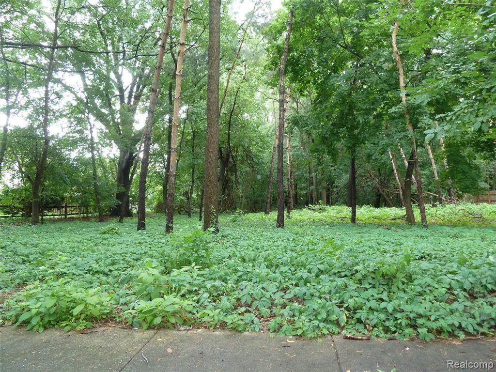 27328 James - Photo 1