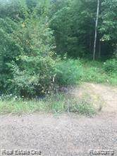 0 Martinsville Rd - Photo 1
