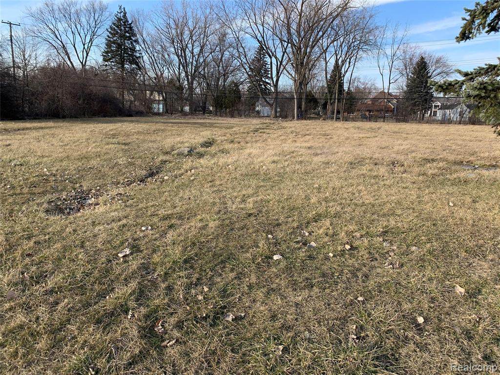 0 Maple Road - Photo 1
