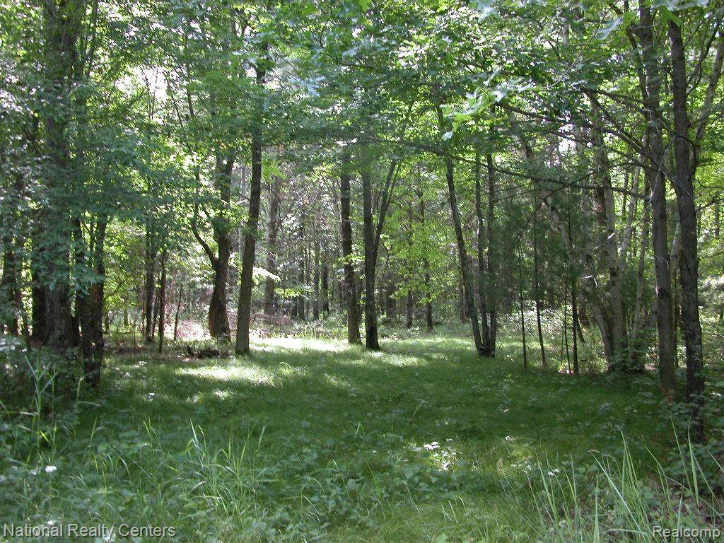 0 Devon Road - Photo 1