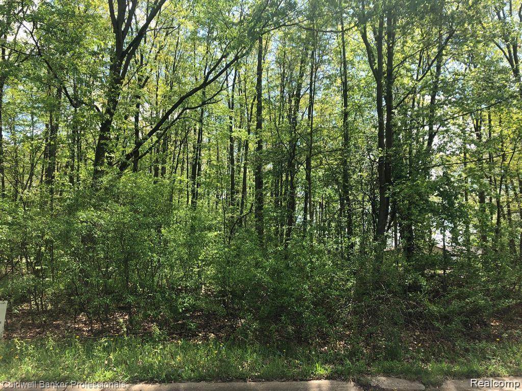 0 Pineview Lake Drive - Photo 1