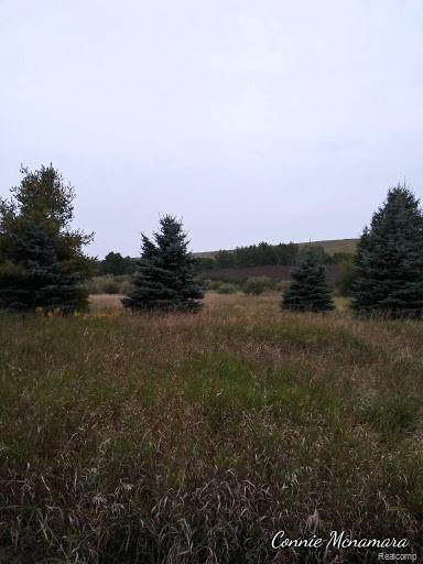 3611 Brunson - Photo 1