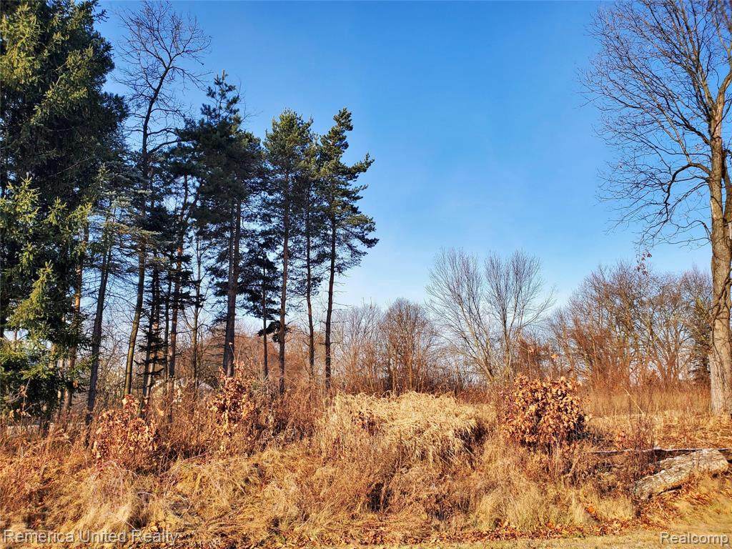 0 Oak Forest Drive - Photo 1
