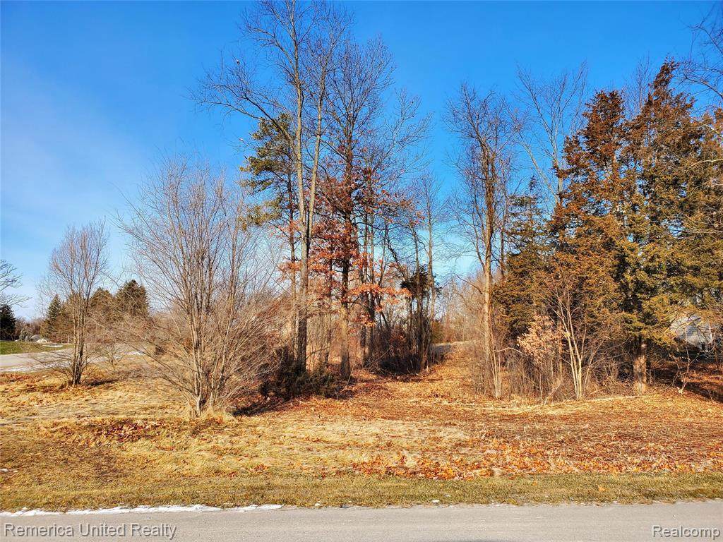 0 Oak Shore Drive - Photo 1