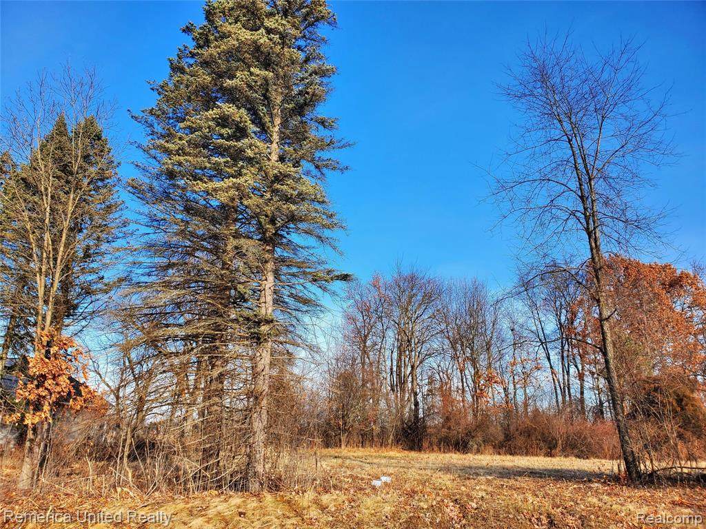 0 Oak Shore Drive - Photo 1