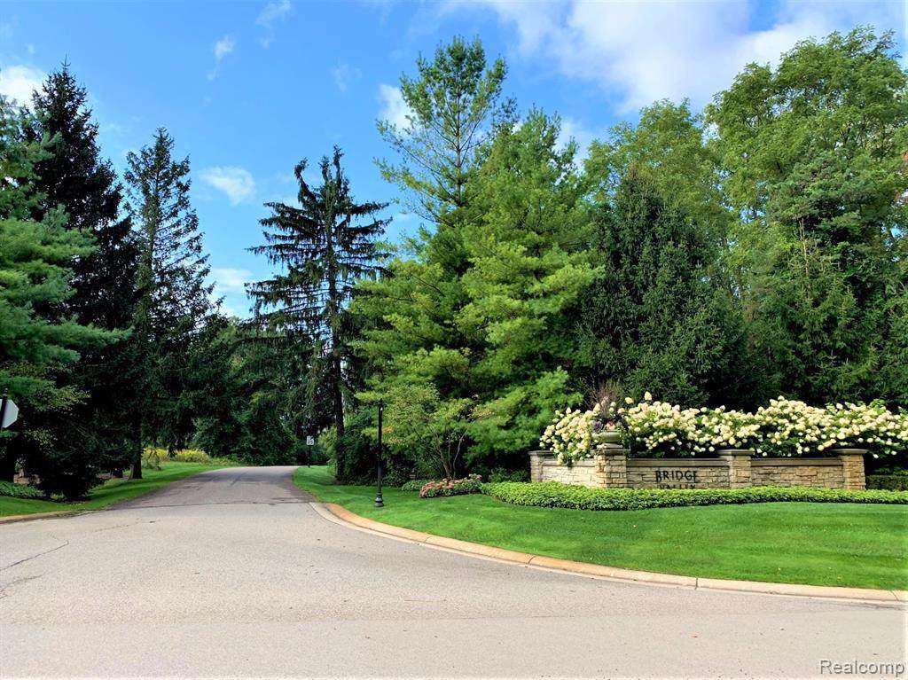 7315 Pine Meadow - Photo 1