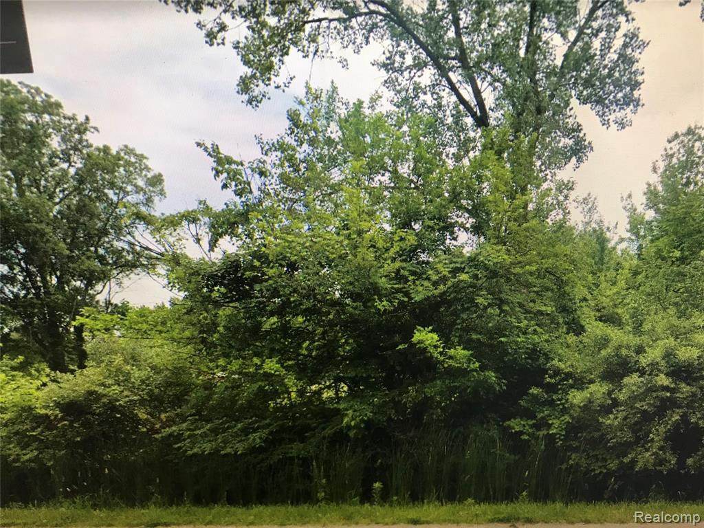 0 Willow Road - Photo 1