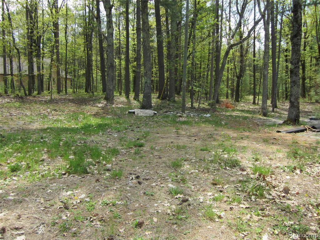 7043 Frontenac Avenue - Photo 1