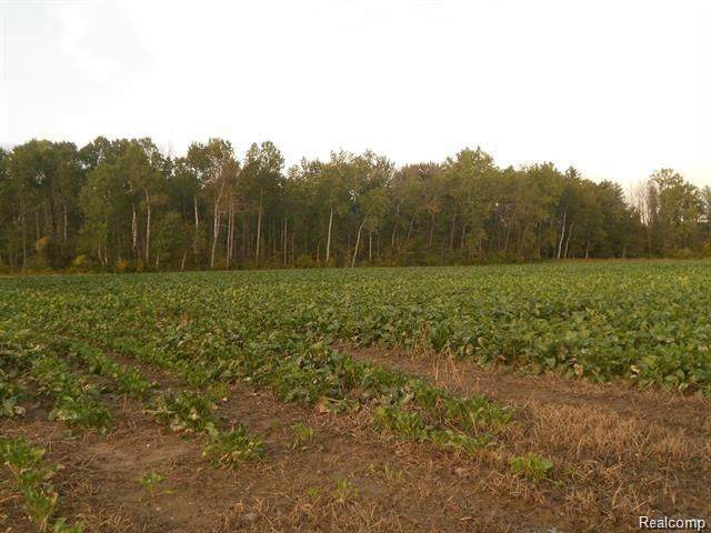 0 Huron City Road - Photo 1
