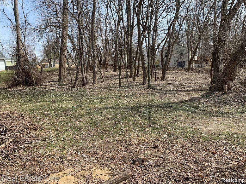 0 Cooley Lake Road - Photo 1