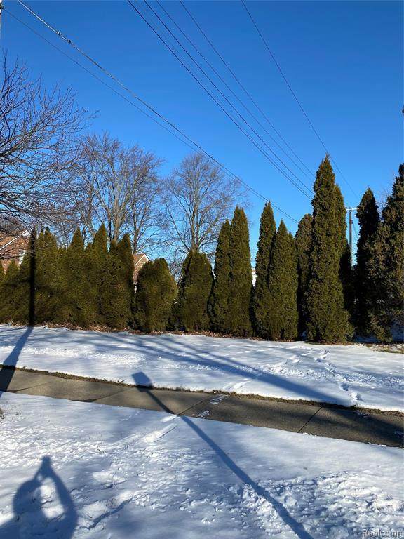 15466 Woodbine - Photo 1