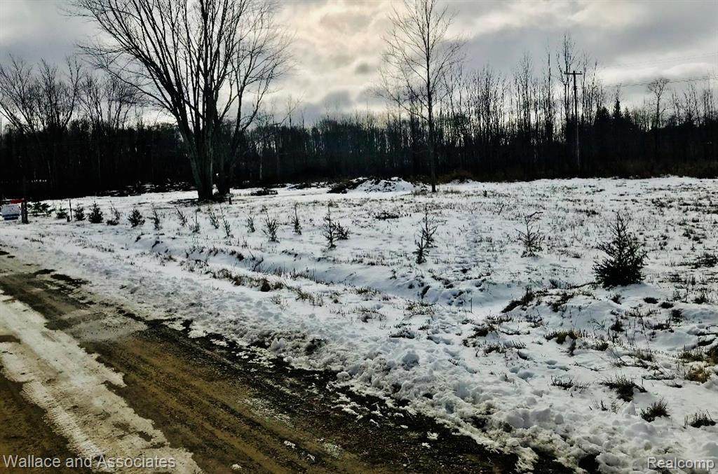 0 Birch Dr. - Photo 1
