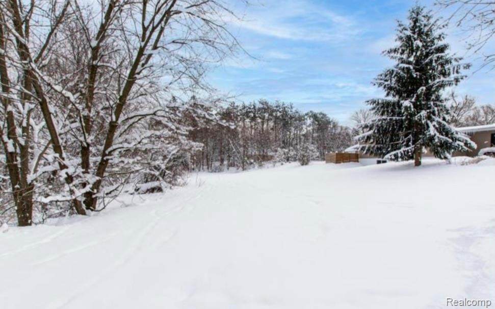 13201 Oak Park - Photo 1