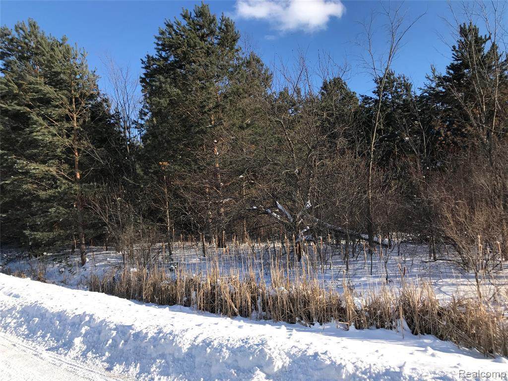 0 Cranbrook - Photo 1
