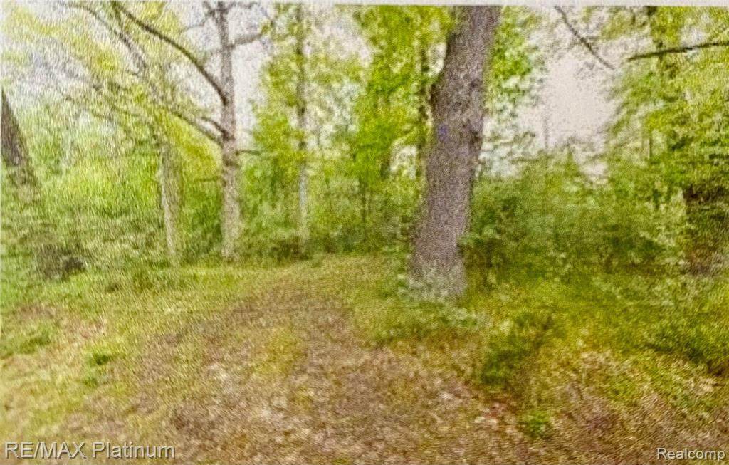0 Beach Lane - Photo 1