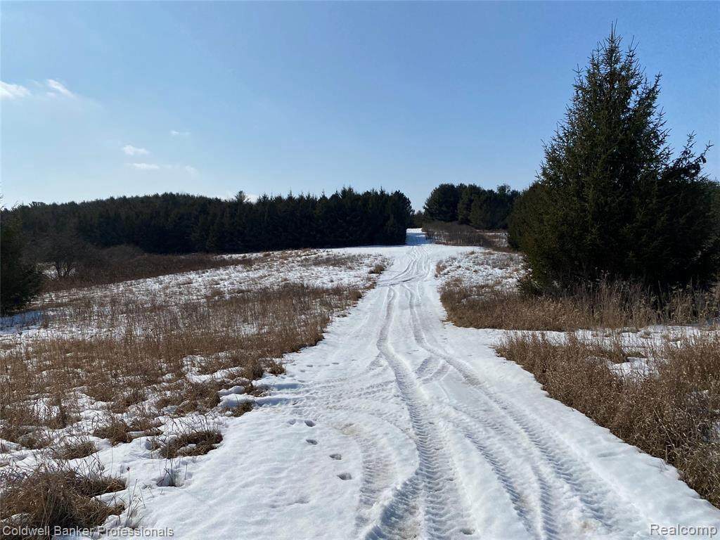 0 Jordan Road - Photo 1