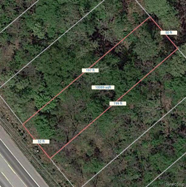 0 Ortonville Road - Photo 1