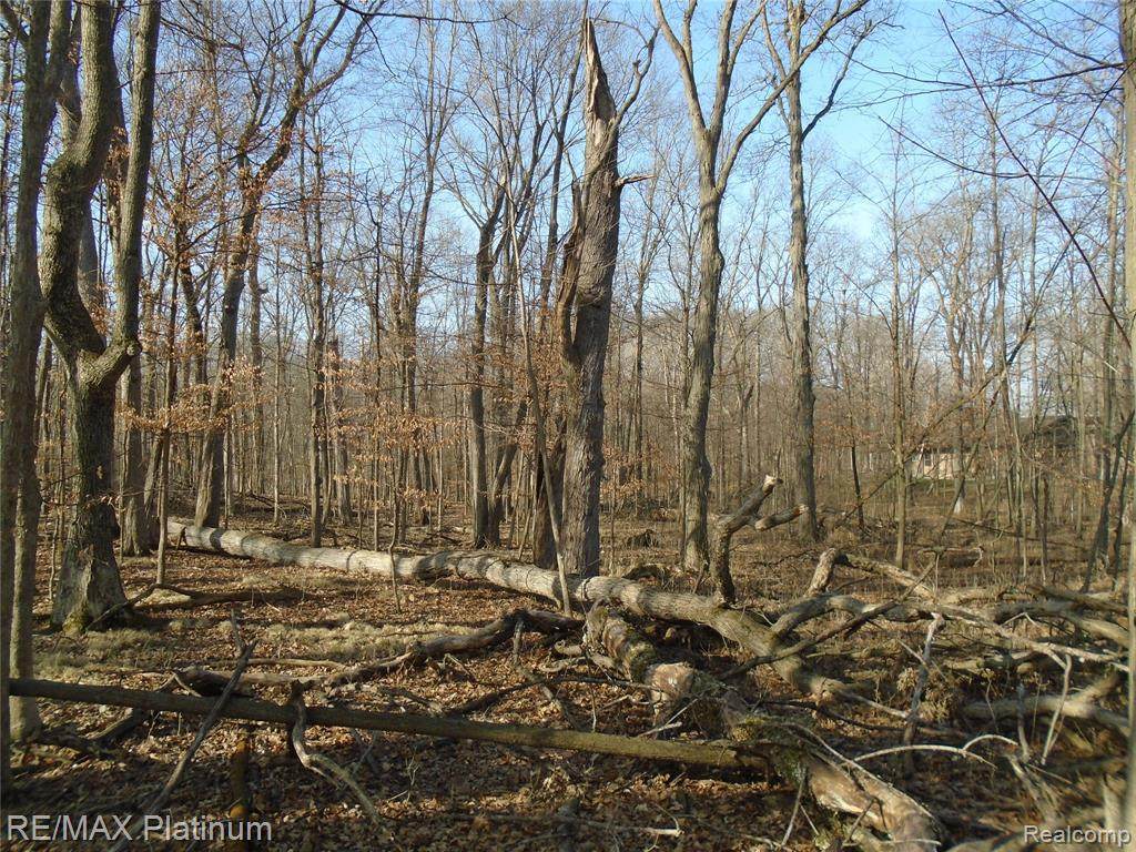 0 Driftwood Drive - Photo 1