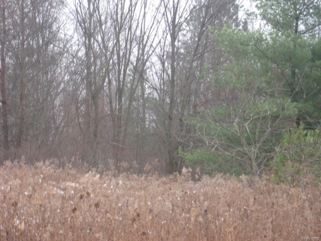 0 Ponderosa - Photo 1