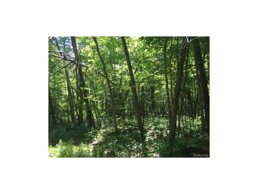 0 Jones Rd - Photo 1