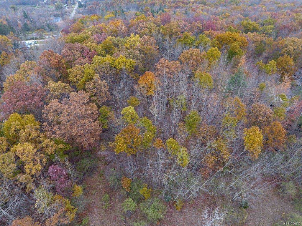 0 Fish Lake Rd - Photo 1