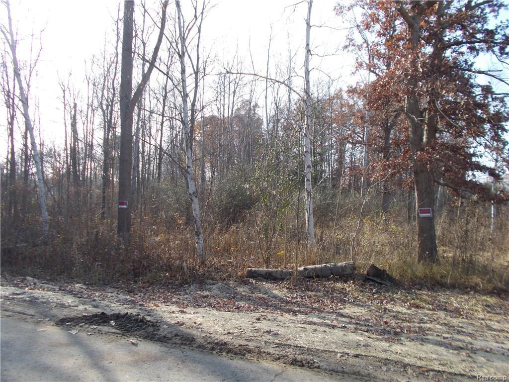 0 Coldwater Lot #2 Rd - Photo 1