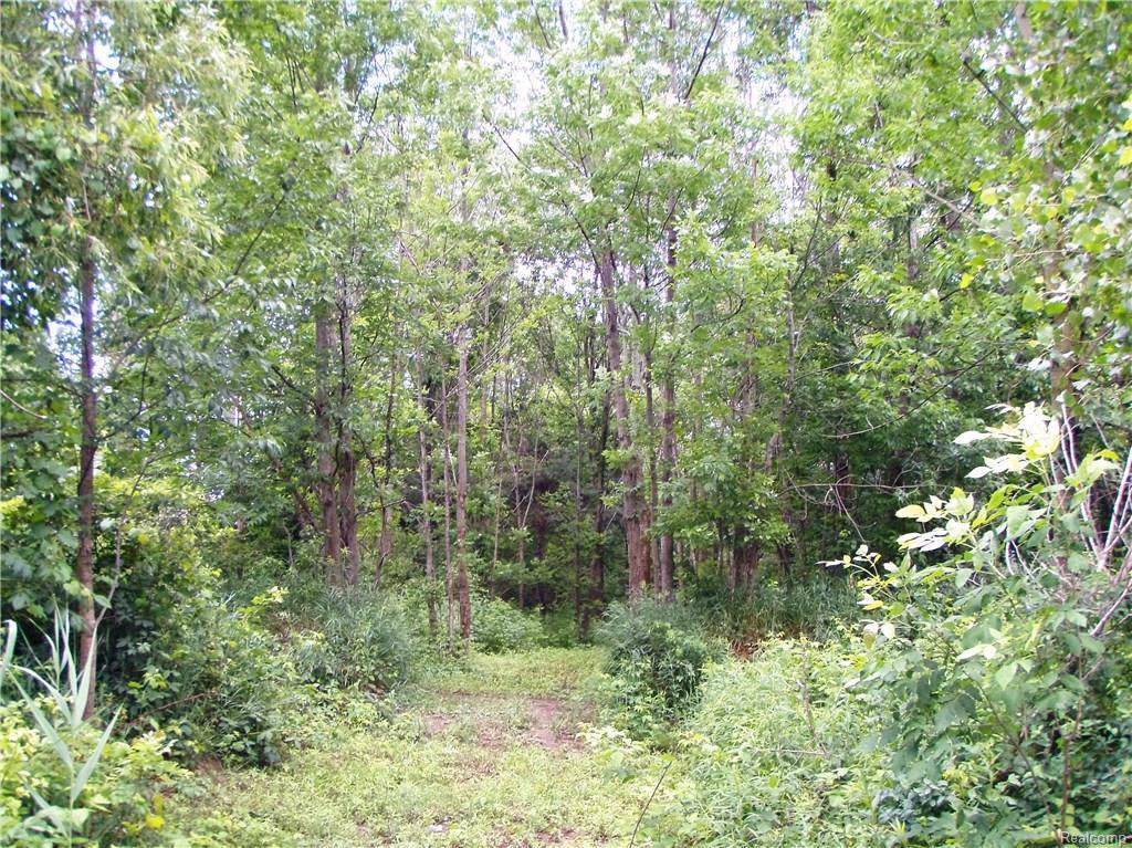 0 Kathy Lynn Ln - Photo 1
