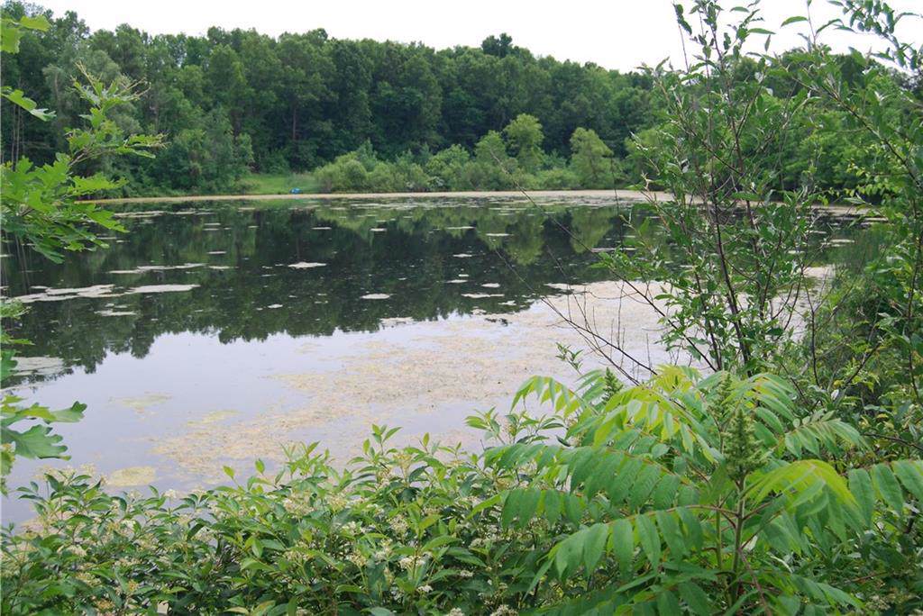 0 Perry Lake Rd - Photo 1